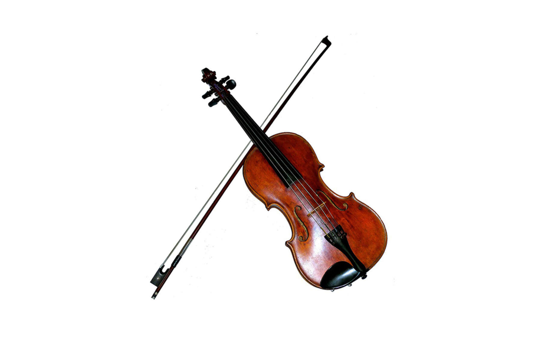 Violine