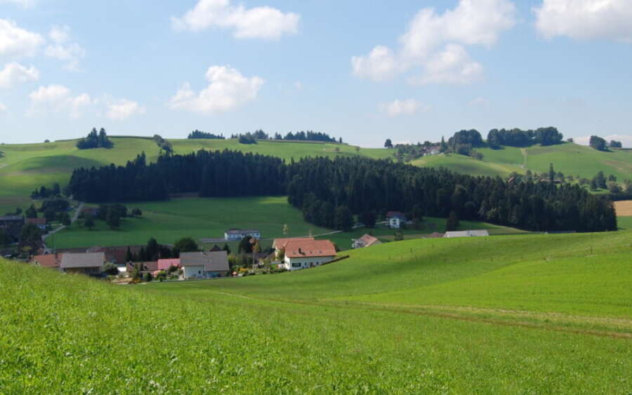 Fischbach